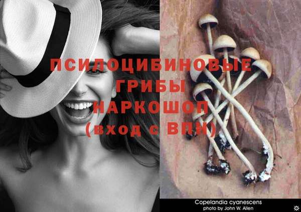 кокаин премиум Арсеньев