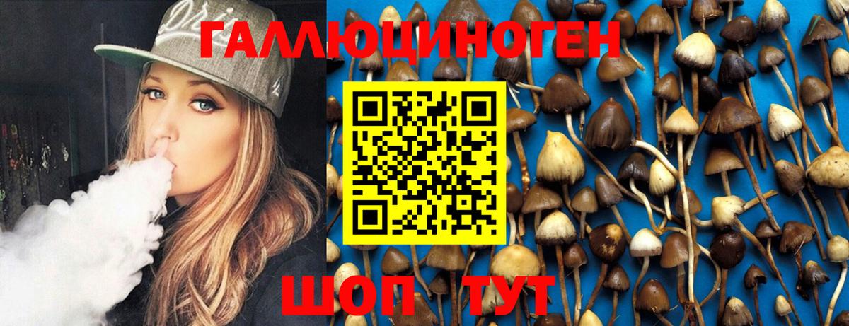 Галлюциногенные грибы Psilocybine cubensis Кирово-Чепецк