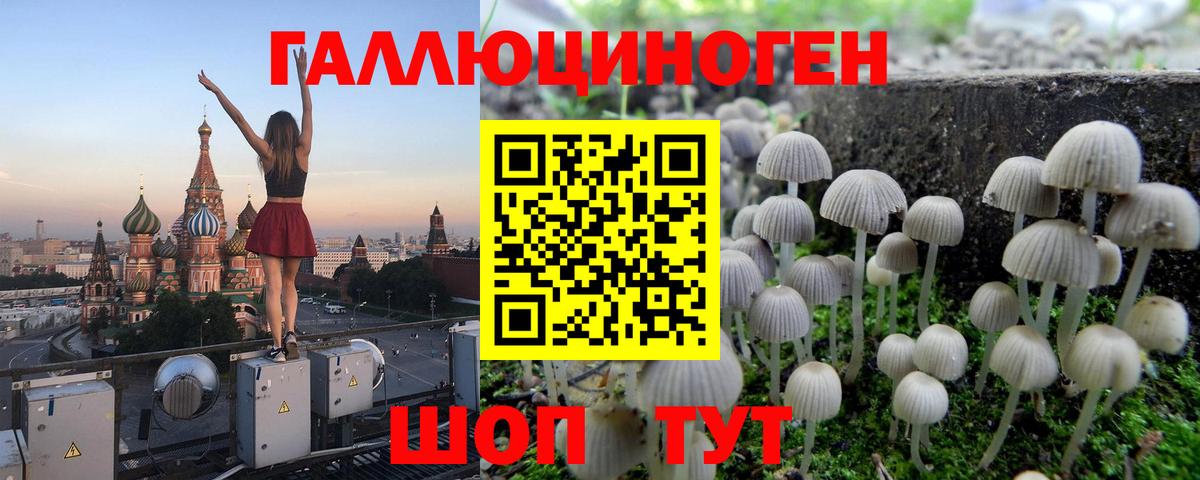 Псилоцибиновые грибы Cubensis  Вход с VPN  Кирово-Чепецк  Галлюциногенные грибы GOLDEN TEACHER 